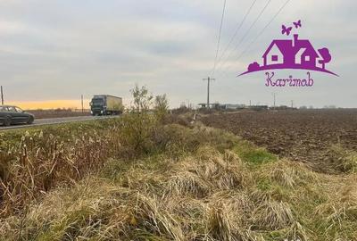Teren de 5620 mp, în Nojorid - 3
