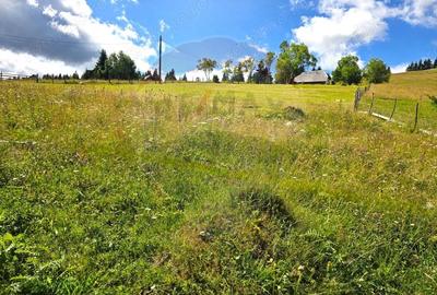 Teren de vis in Fundata 3868mp, la inal?imea sufletului tau Teren de vis in Fundata 3868mp, la inal?imea sufletului tau - 11