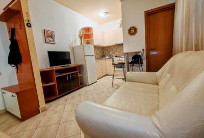 Ap tip studio  in inima Bucurestiului - liniste, confort si accesibilitate - 8