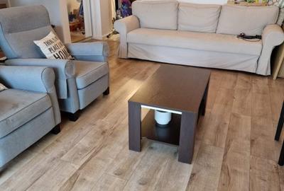 VILA COCHETA IN OTOPENI ODAI - 21