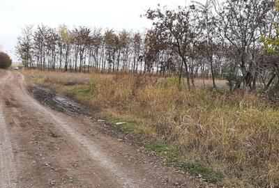 Teren de 1840 mp, în Gheorghe Lazăr - 3