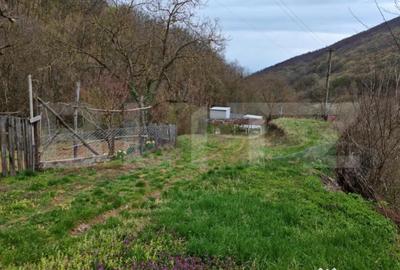 Casă cu 4 camere cu Teren 12186 Mp în Central - 3