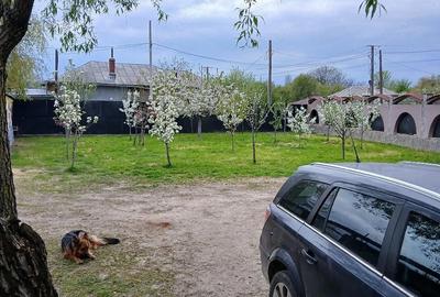 Casă cu Teren 1600 Mp în Serdanu - 9