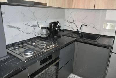 Apartament 1 camera de inchiriat Zona Lipovei - 3