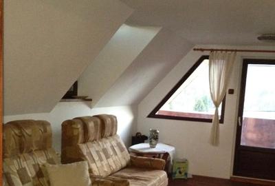 Casa - Vila Rustica - Casa de locuit sau Pensiune - 3