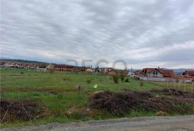 RECO Teren 4935mp in Beius - 4