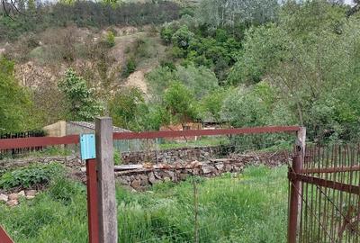 Casă cu 5 camere cu Teren 500 Mp în Petnic - 10