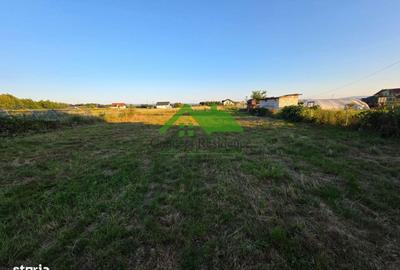 Casă în Ileanda - 9