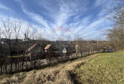 Teren intravilan de 34425 mp, în Bădeni - 5