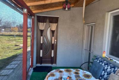 Vinzare cabana - 1