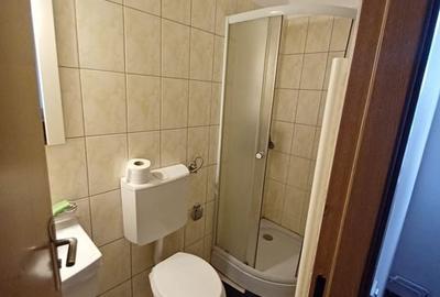 0 % comision, Casa de inchiriat, 4 camere, cartierul Someseni - 20