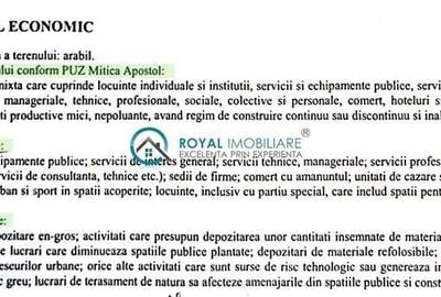 Royal Imobiliare - Vanzare Teren Intravilan zona Vest - 3