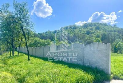 Teren intravilan, partial imprejmuit, eligibil grant- Poj... - 8