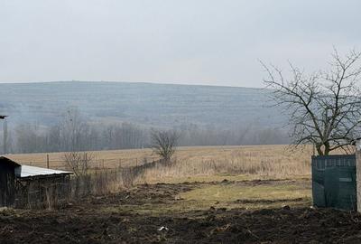 Teren de 3000 mp, în Petricani - 4