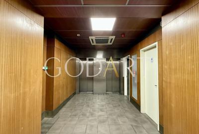 Spațiu de Birouri Premium | Etaj Integral | 455 mp - 20