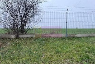 Teren Domnesti- Depozit Altex, Emag. - 2