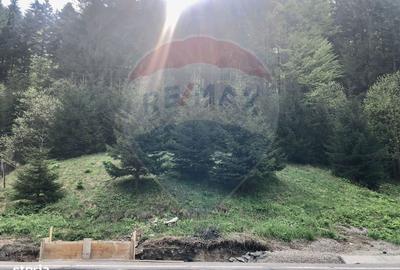 Spațiu comercial, în Malul Ursului - 2