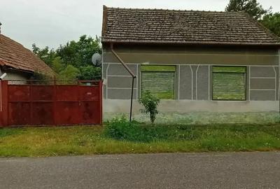 Casa de vinzare la Dorobanti, jud Arad - 1