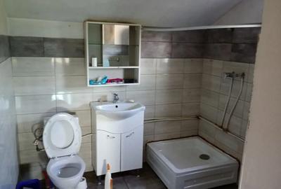 Vand casa in ohaba forgaci P+M - 3