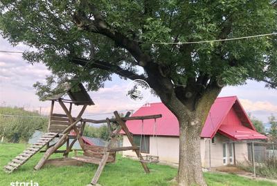 Teren de 6200 mp, în Mogoșești - 10