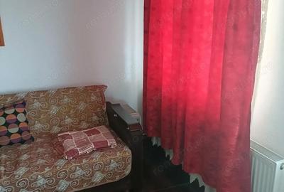 Casă cu Teren 4977 Mp în Ribița - 6