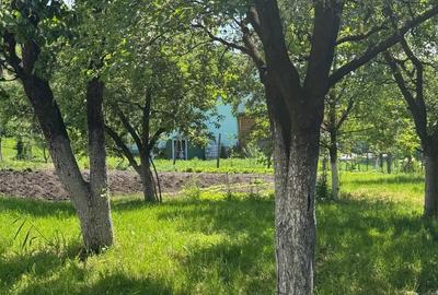 Casă cu 4 camere în Lazaret - 7