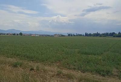 De vanzare teren extravilane in Sfantu Gheorghe - 1