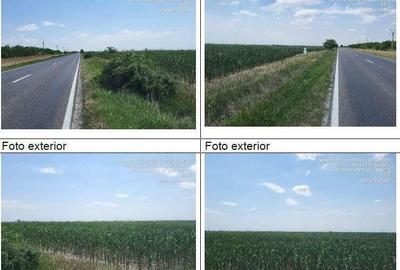 Teren Fantanele cota parte 1/6 , ID: R2111660 - 2