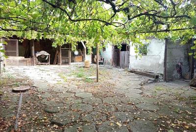 Bradisoru de Jos, Casa 14 Incaperi + Teren 1439MP - 3