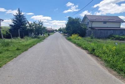 Teren de 1181 mp, în Curtișoara