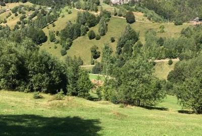 Spațiu comercial, în Peștera - 8