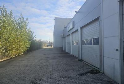 Showroom, service, magazin desfacere, birouri - Aeroport Oradea - 12