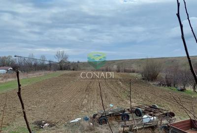 Vila la rosu cu 2000mp curte in comuna Cornetu - 2