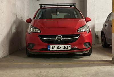 Proprietate specială, 12 mp în Torontalului - 4