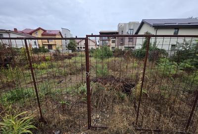 Nicolae Grigorescu, chiar la pasajul peste Splaiul Unirii, in planul 2 - 1