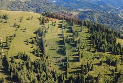 Teren 47,732mp Panaci / Strada MIhailet - 3