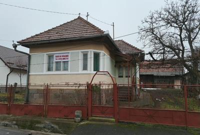 Casa in Ibanesti zona centrala - 1