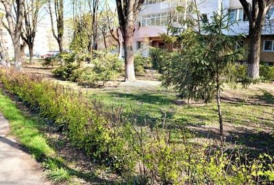 Teren 718 mp Bacau / Calea Marasesti, zona Orizont - 5