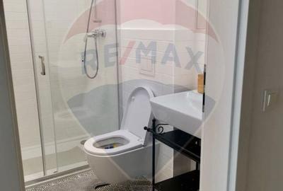 Apartament/Studio de inchiriat Aviatiatiei Park - 9