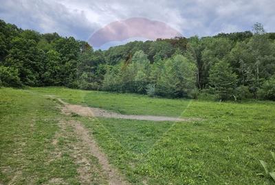 Teren 11,935mp Margineni / Strada Dubas - 7