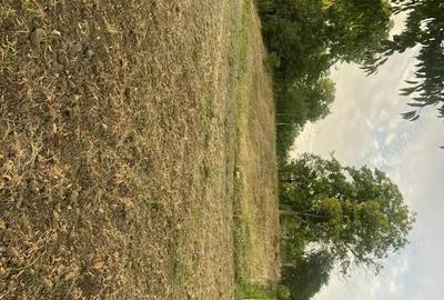 Casa de vanzare in Craiesti comuna Adamus - 1