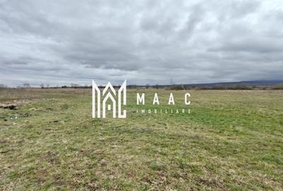 Teren agricol extravilan de 2400 mp, în Cristian - 2