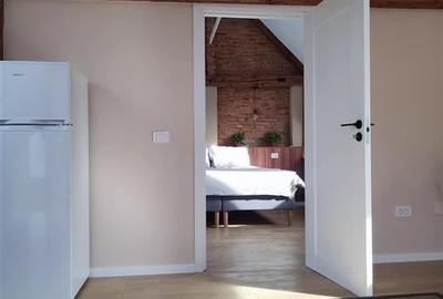 Apartament modern de inchiriat  zona Bartolomeu, la curte, complet renovat - 10