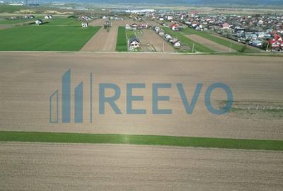 Teren de vânzare, Com. Nicolae Bălcescu, Jud. Bacău - 6