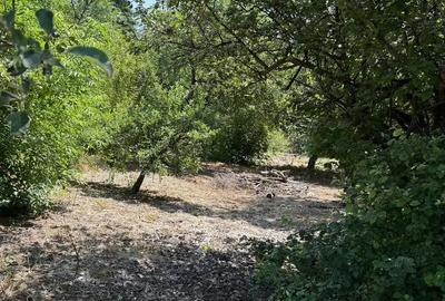 Casă cu 4 camere în Gurahonț - 5