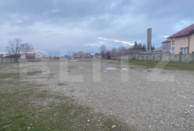 Teren de 8000 mp, în Cornu Luncii - 1
