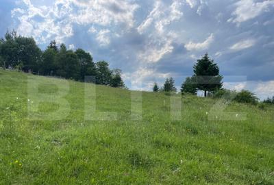 Teren de vanzare, 2 ha - Campulung Moldovenesc, zona Sandru - 3