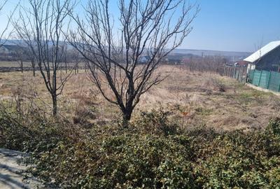 Casă cu 4 camere cu Teren 3000 Mp în Belcești - 2