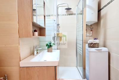 Tineretului- Radulescu Motru 2 camere/ mobilat /utilat Tineretului- Radulescu Motru 2 camere/ mobilat /utilat - 13