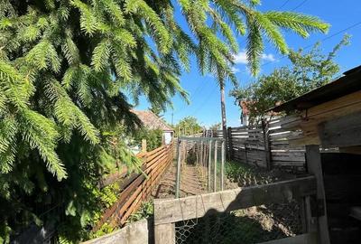 Casă cu 3 camere în Turda - 3